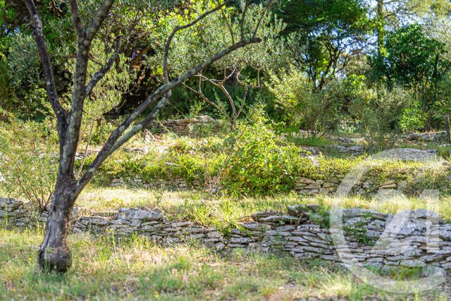 maison à vendre - 9 pièces - 249.74 m2 - NIMES - 30 - LANGUEDOC-ROUSSILLON - Century 21 Dhuoda